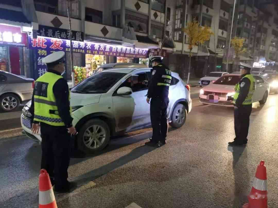 司机肇事获刑，法院依法严惩交通违法行为