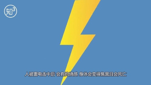 雷击nn雷击事故中司机遇难，探讨是否纳入工伤赔偿范畴
