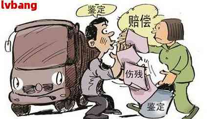 吃饭摔伤如何赔偿标准：最新规定与具体操作指南