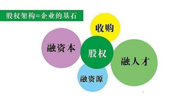 合伙人、股东权益与责任解析：全方位解析企业合作与股权分配要点