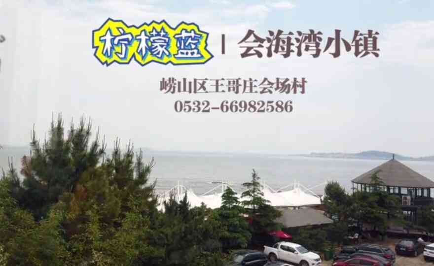 探索柠檬魅力：资深柠檬爱好者精选指南