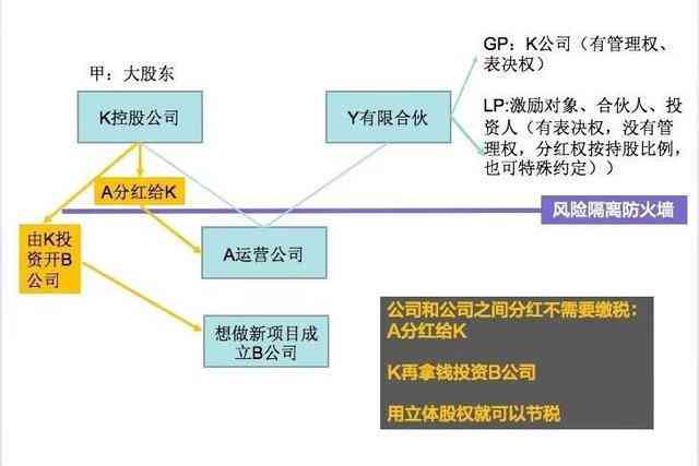 全面解析：合伙关系认定的法律依据与实务要点