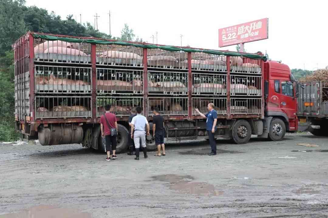 《获取合格证明的三种官方途径详解》
