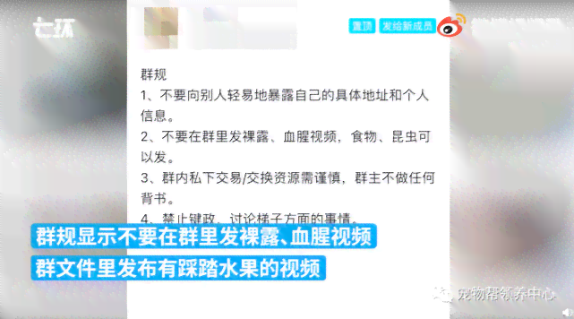 ai实景直播文案怎么写的既好又好看，写作技巧解析