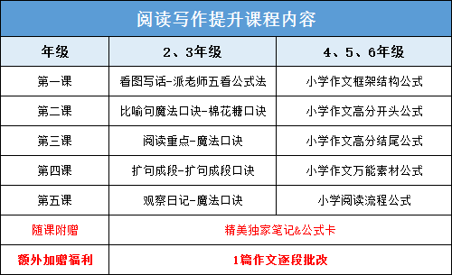 教育之光：资深名师亲授独家技巧，解锁高效学秘