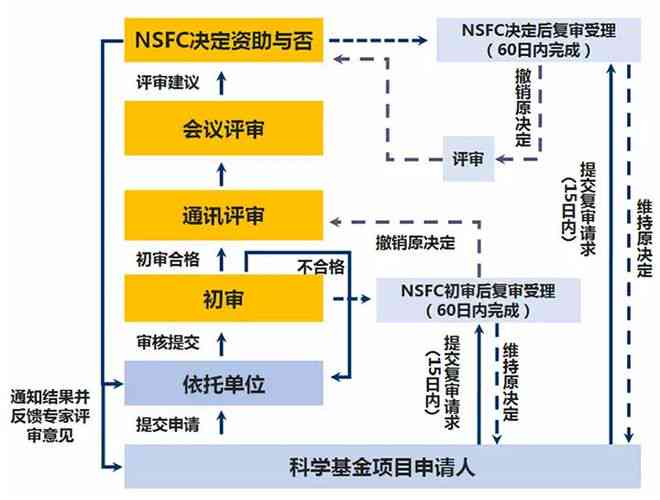 '同行评议流程与标准：专家评审模板指南'