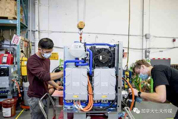 加拿大投资指南：深入解析各类投资项目及优势
