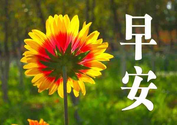 全面解析AI创作理念：解锁无限创意与可能性，涵万物AI创作应用指南