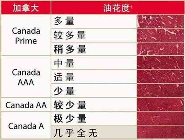 听力障碍残疾等级划分及评定标准详解