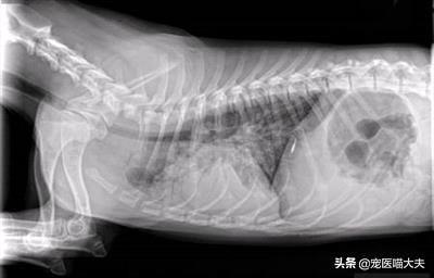 吸入性治疗费用报销政策及流程详解：涵医保范围、报销条件与所需材料