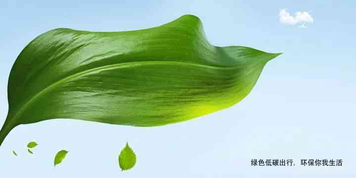 青春公益广告文案：创意撰写、范文精选与文案大全