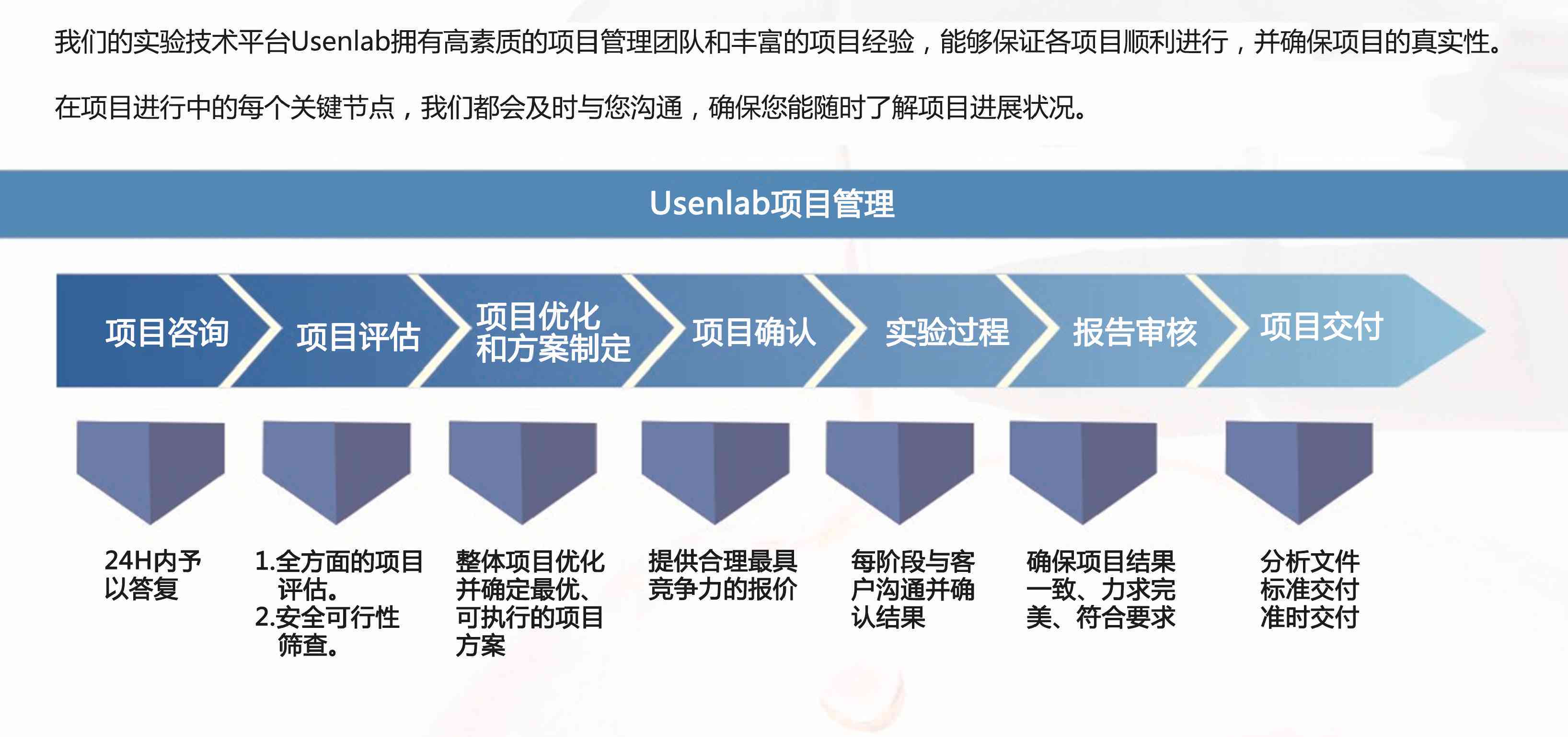 综合设计项目分析与实报告：全面涵设计策略、流程、成果与用户需求解析