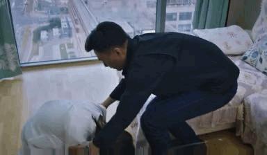 单位员工遭遇车祸，企业是否需承担法律责任？