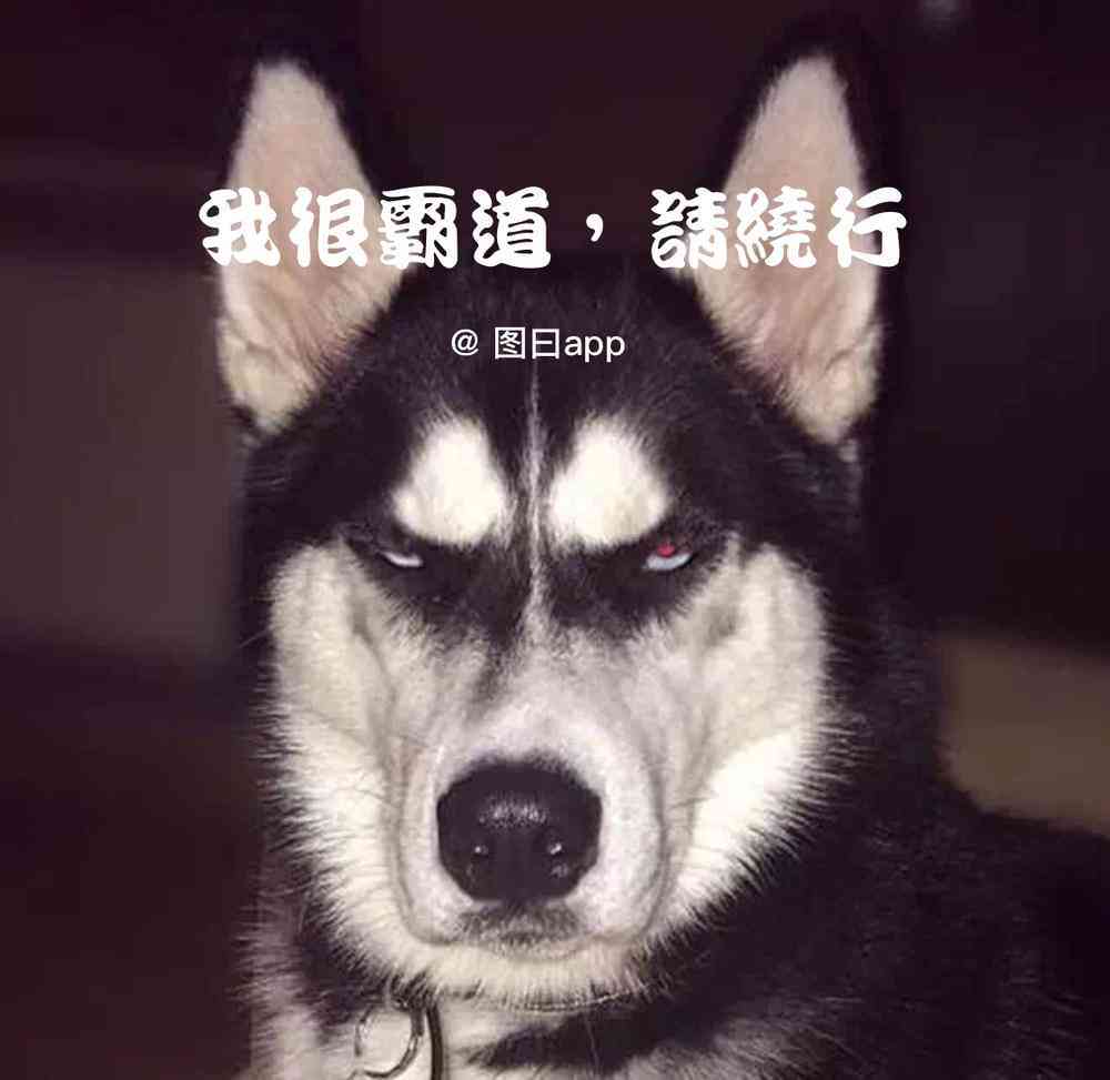抖音自带的ai文案怎么弄