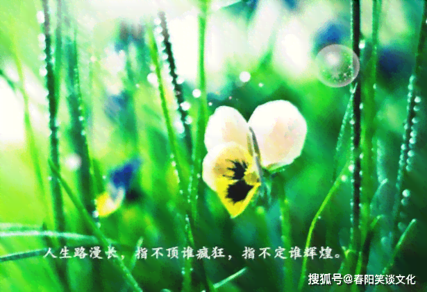 心灵智慧：经典语录精选集