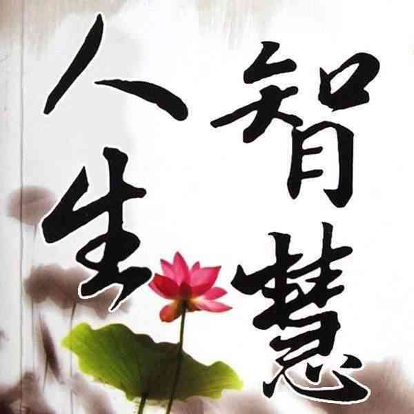 智慧语录头像：经典智慧人语录精选