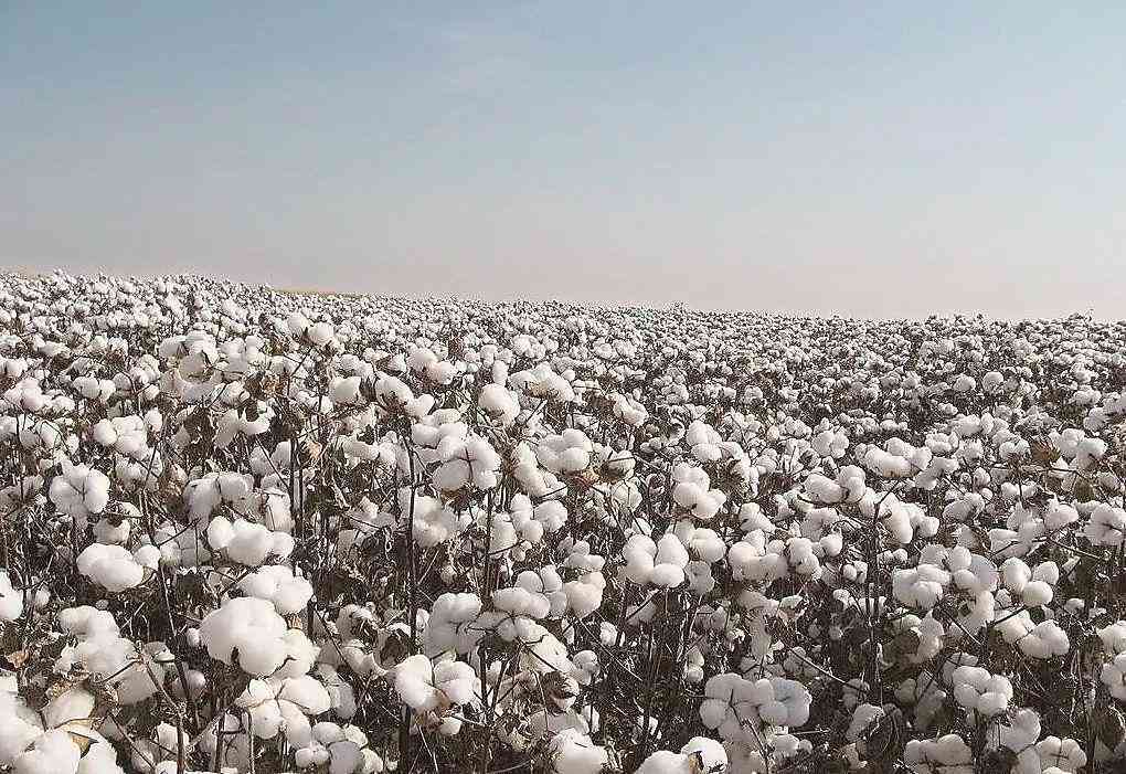 企业内部员工违规操作与弄虚作假案例汇编及防范措解析