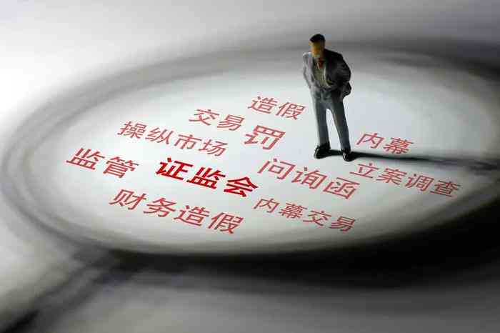 企业内部员工涉嫌造假：揭露工作不实行为与防范措