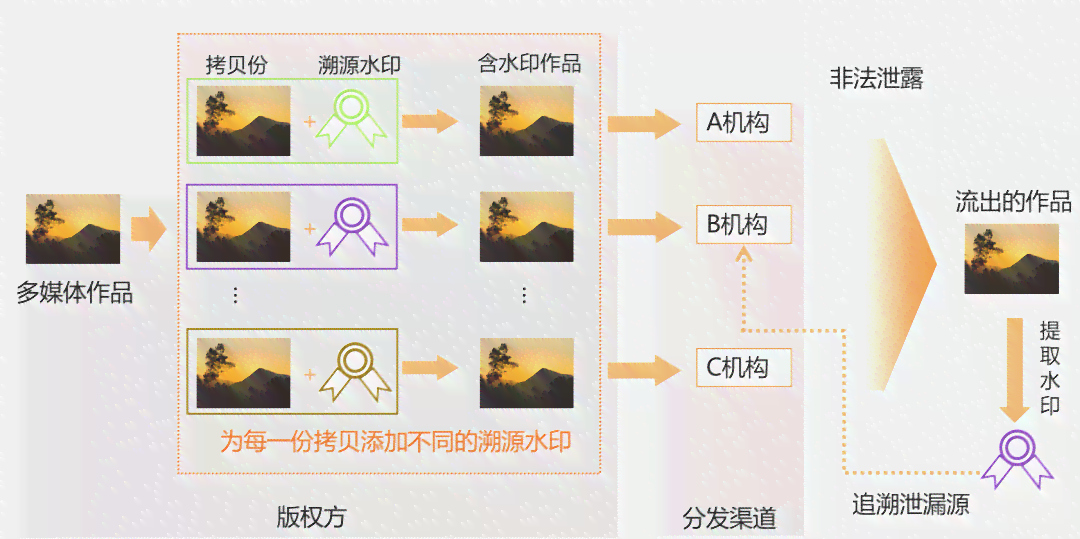 数字水印技术在多场景应用案例解析：版权保护、信息安全与身份验证全面解读
