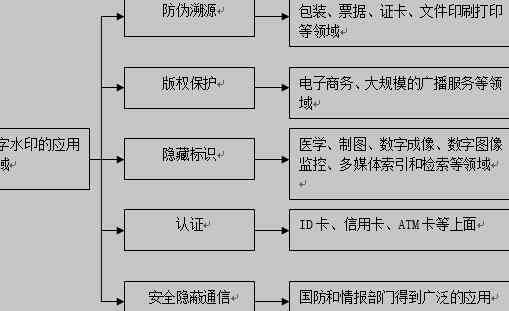 数字水印技术在多场景应用案例解析：版权保护、信息安全与身份验证全面解读