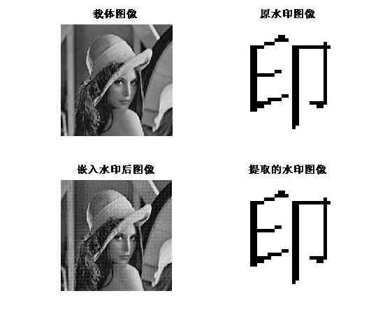 介绍一下数字水印技术的概念、特点、类型及其作用