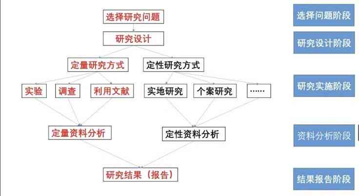 详尽实验报告：全面解析论文研究过程与结果分析