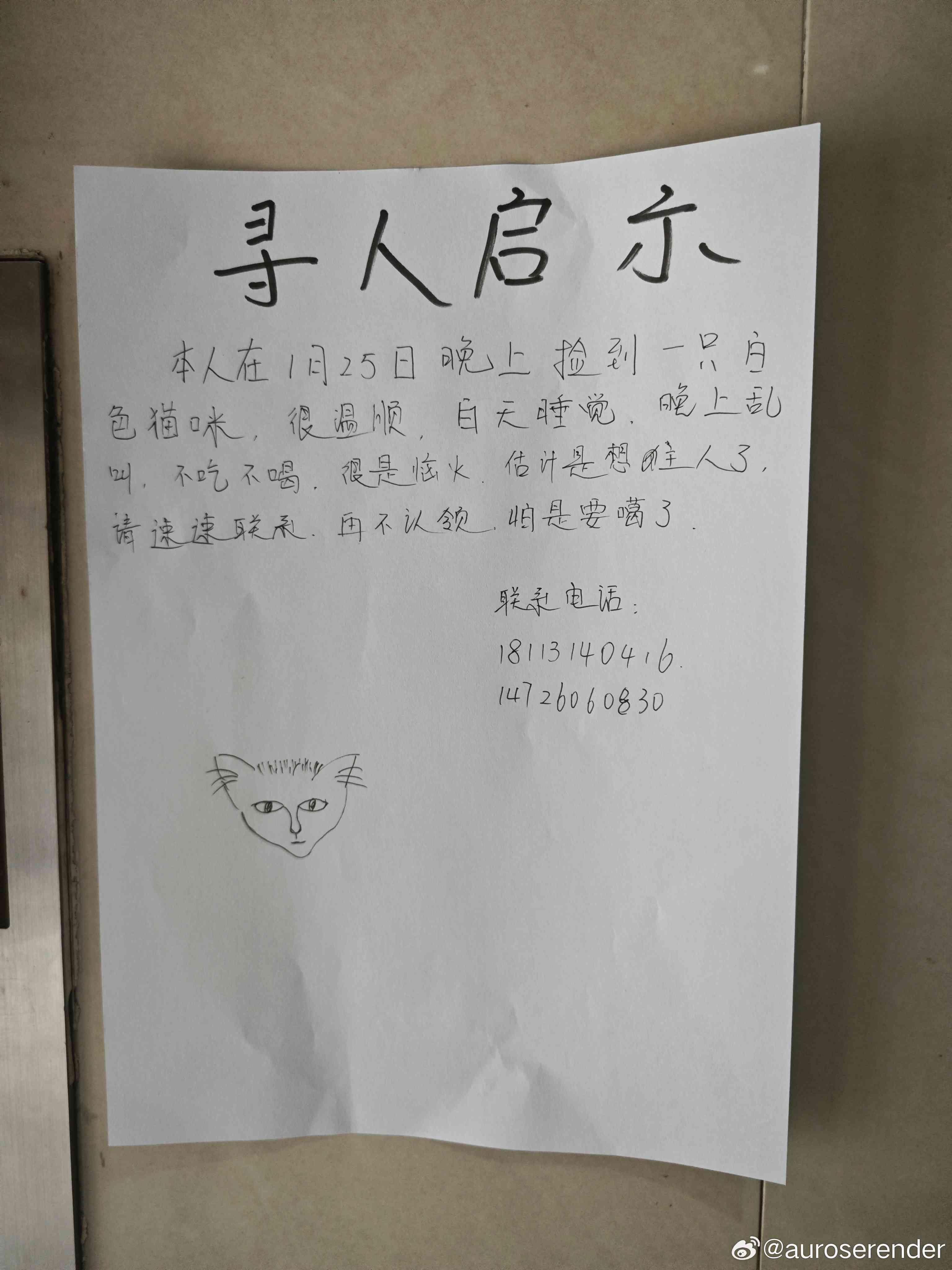 ai寻人搞笑文案短句：写给爱人的搞笑版寻人启事，寻找失踪女朋友