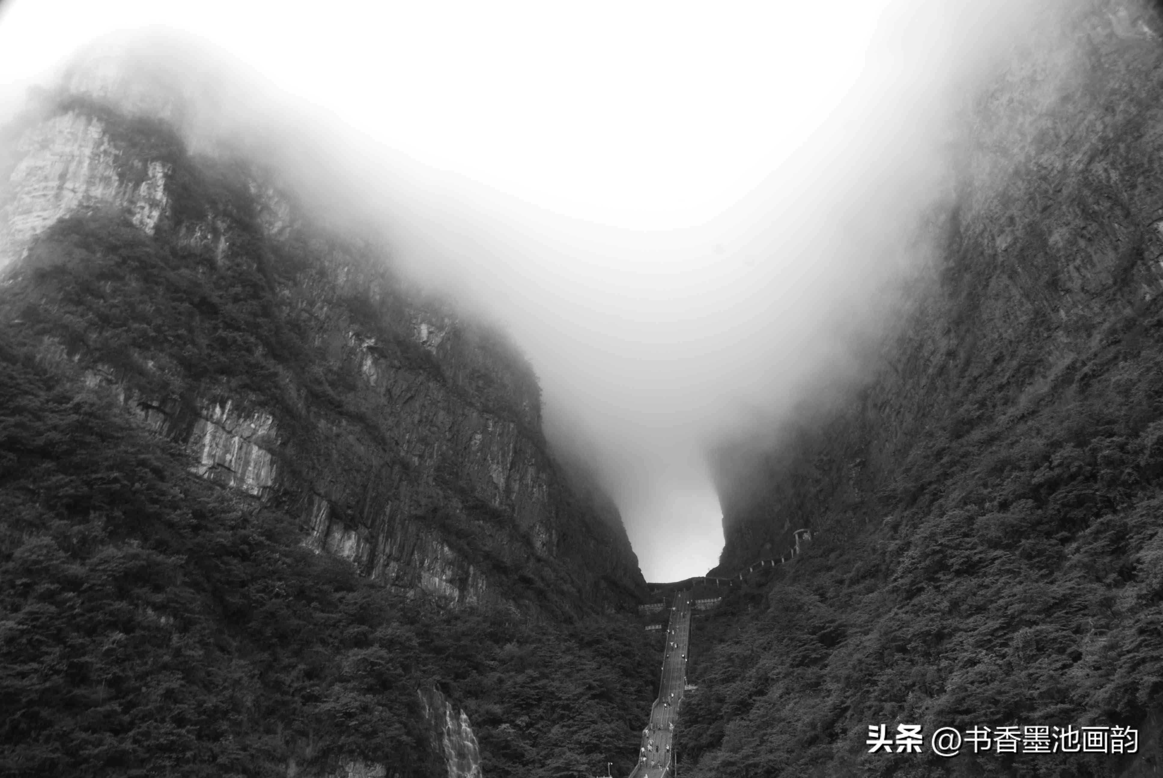 卡通形象趣事分享：我的脸日常趣闻