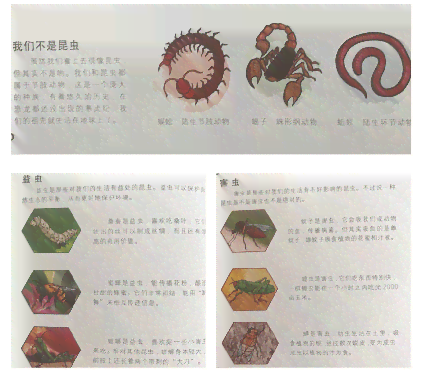 探索创意天地：七猫中文网——您的专属写作与阅读平台