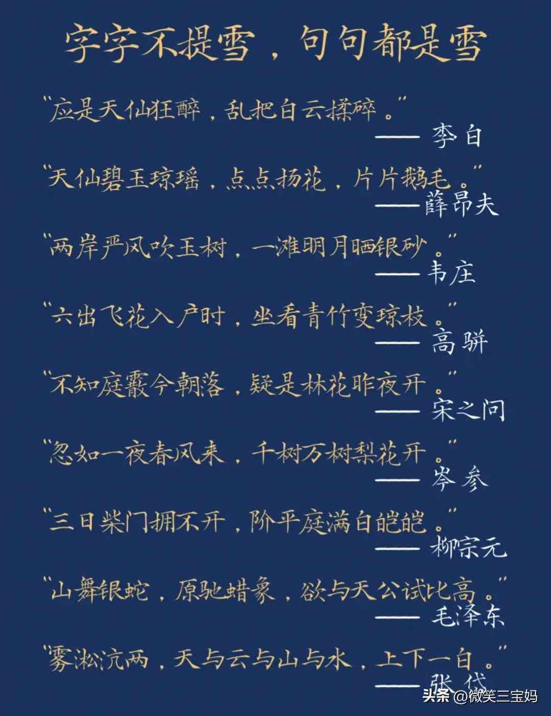 2024最新盘点：全方位解析热门文案AI编辑软件，满足各类创作需求