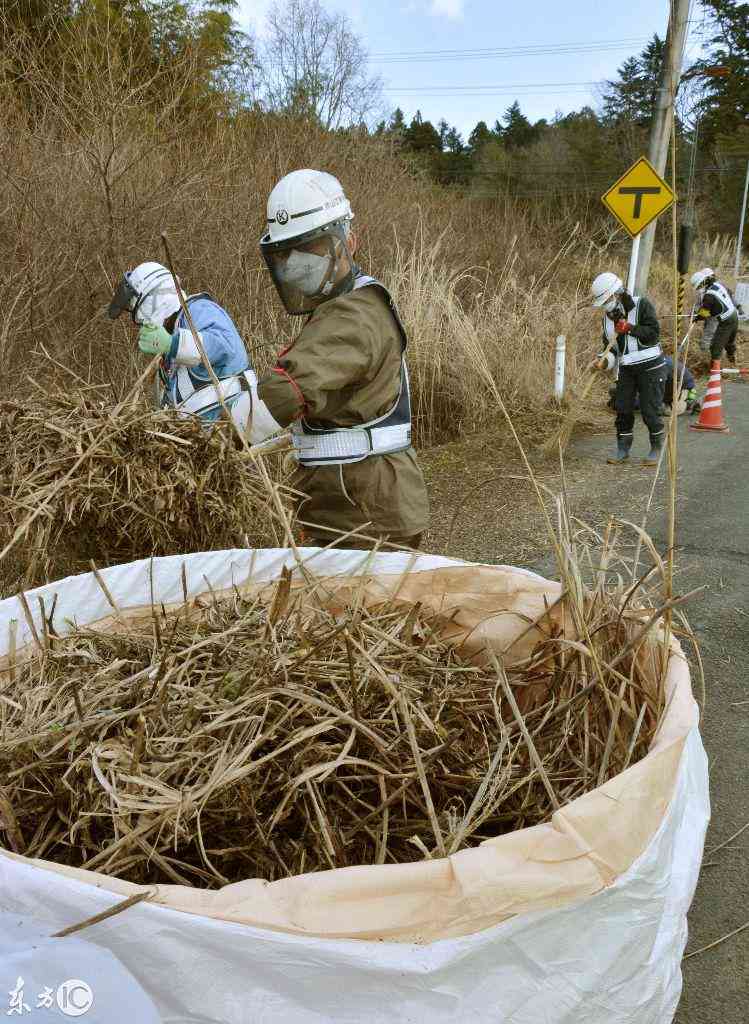 哪类人不能认定工伤事故