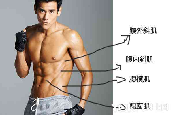 腹肌文字：号表情与描述集成
