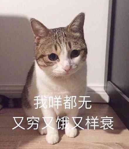 腹肌文字：号表情与描述集成