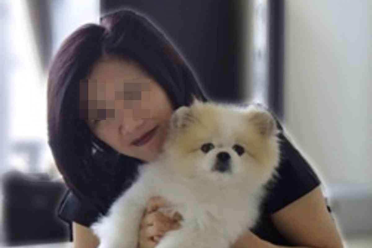 宠物犬绘画素材大全：涵多种犬种、动作、表情与场景的详尽资源集锦