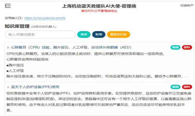 ai队管理方案报告