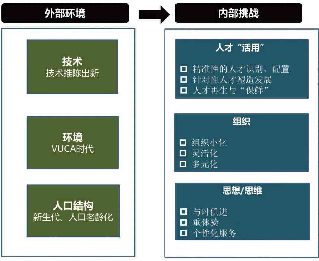 AI领域人才发展全景解析：招聘、培养、趋势及行业应用指南