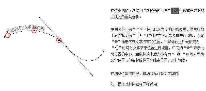 '利用AI技术实现文本到曲线的高效转换方法'