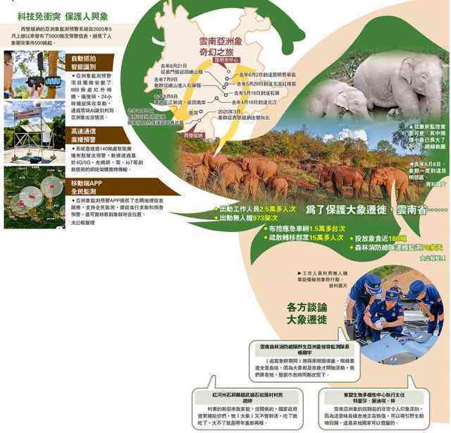 大象元年：揭秘象群迁徙与生态保护新元