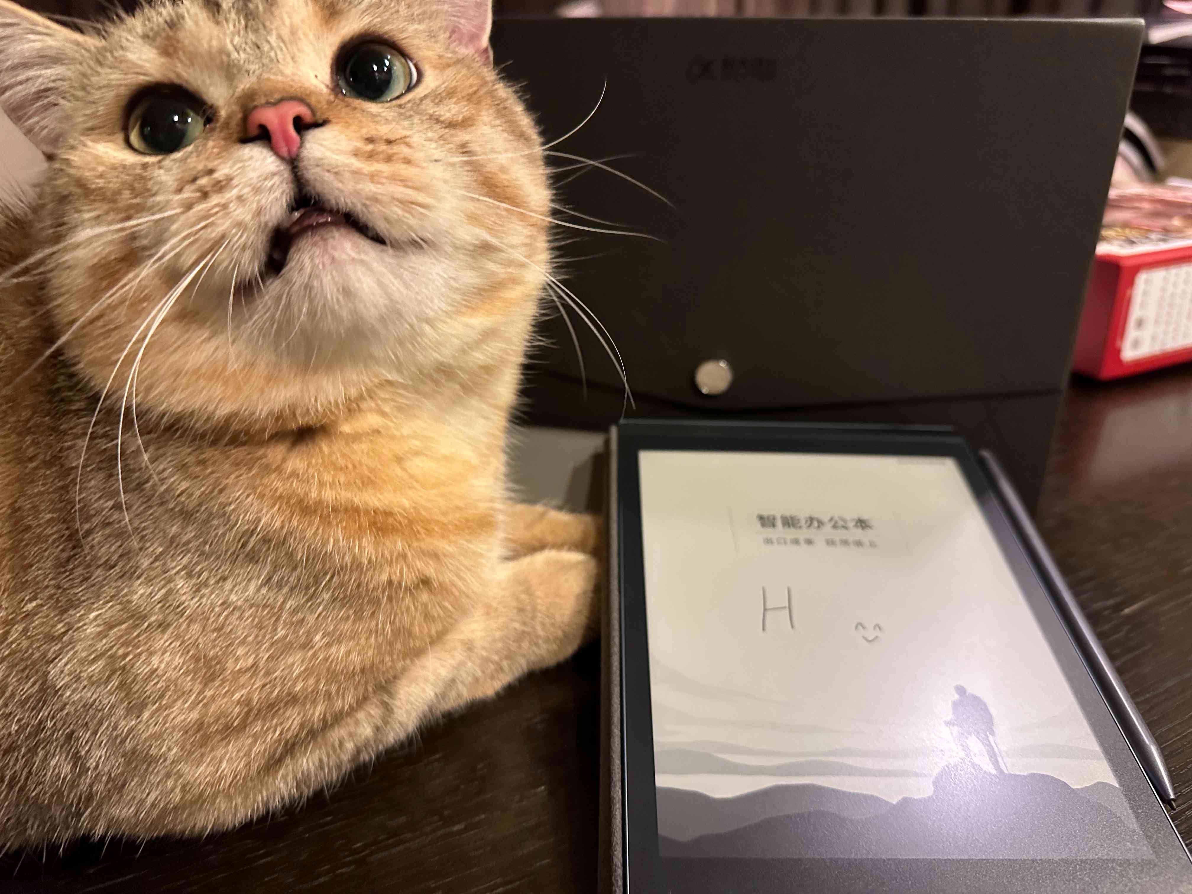 猫咪专属智能书写伴侣——小猫智能书写工具