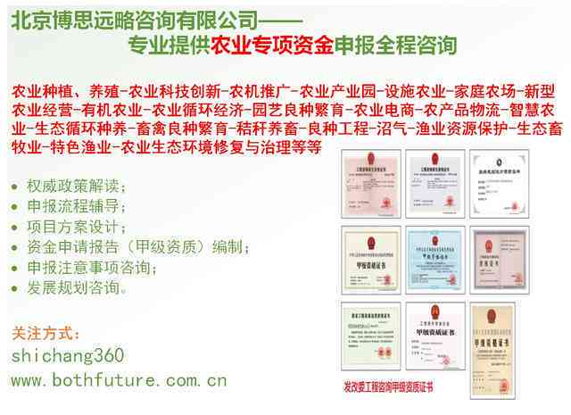 ai存一体化初步设计方案报告怎么写——完整撰写指南