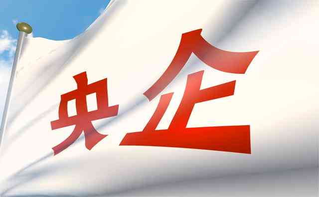 探究国有资产流失的责任主体及其法律责任与防范措