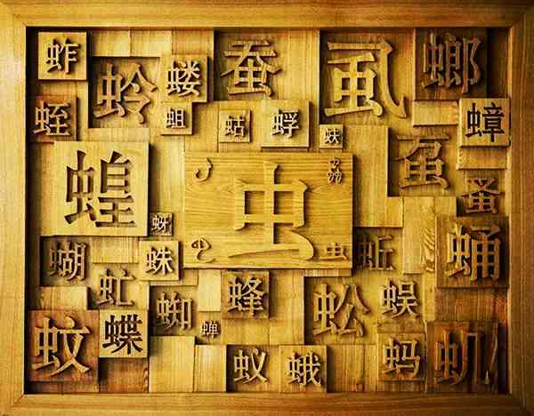 文字奇观：探索汉字的另类魅力