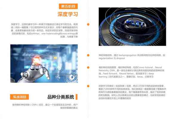 斑马AI课程全面解析：工作原理、应用场景与职业发展前景