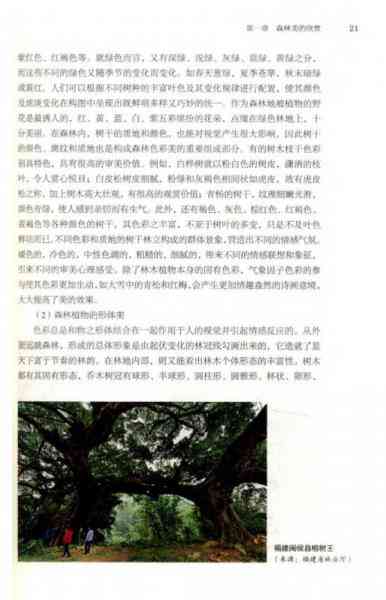 《森林作业：名词解释、疗法差异、更新方法与主伐方式探讨及作文汇编》