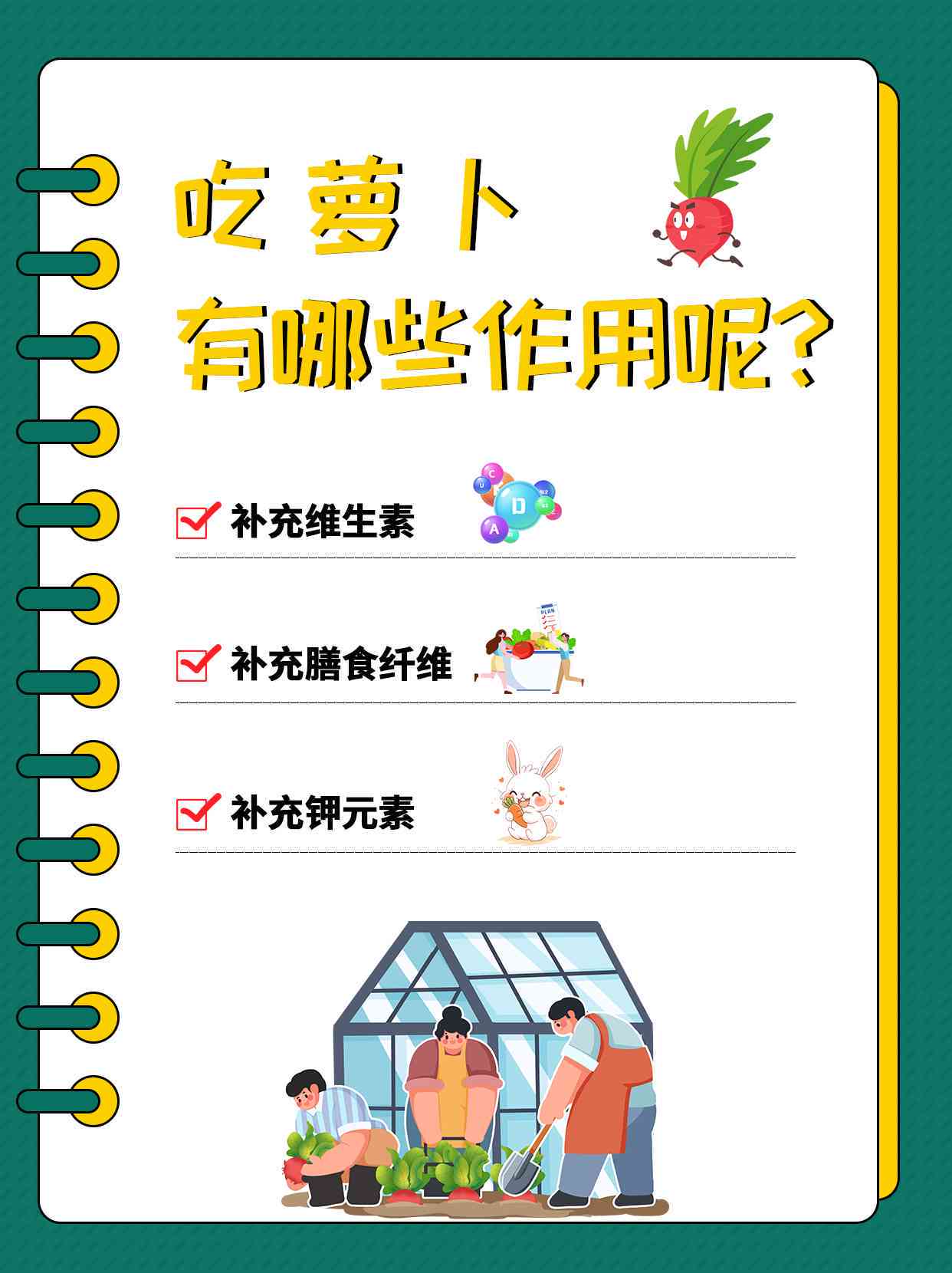 探索萝的种植、营养与烹饪：一篇全面的萝知识作文指南