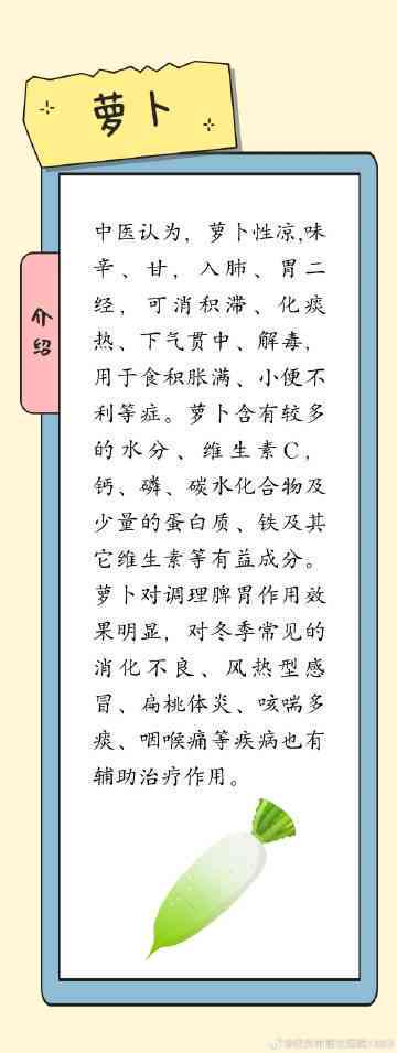 探索萝的种植、营养与烹饪：一篇全面的萝知识作文指南