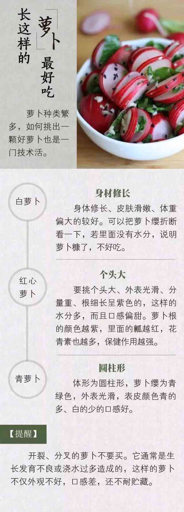 探索萝的种植、营养与烹饪：一篇全面的萝知识作文指南