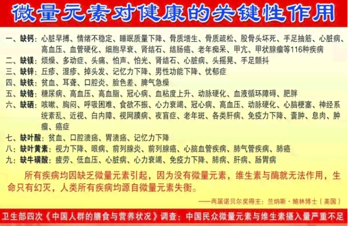 探索萝的种植、营养与烹饪：一篇全面的萝知识作文指南