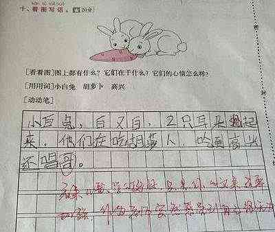 萝写一篇作文：以萝为主题创作300-500字作文