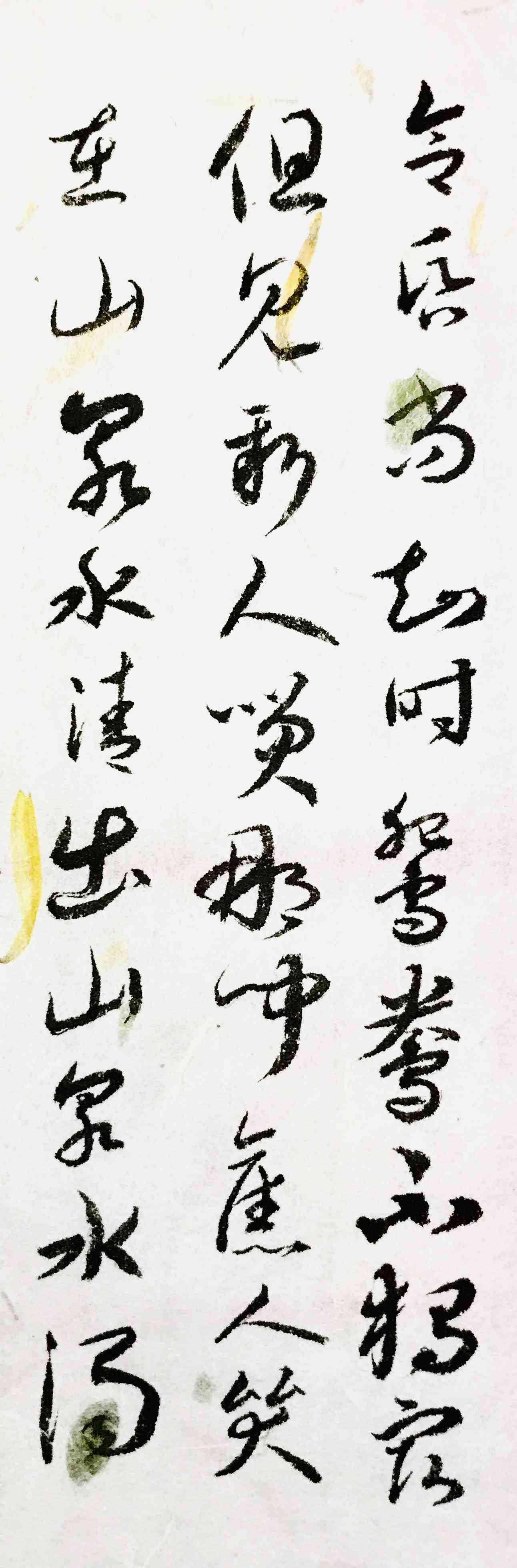 萝主题作文攻略：300字写作技巧与实例解析